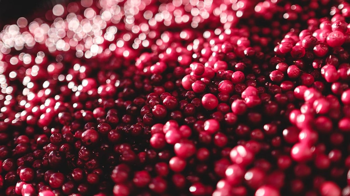 In addition to drug therapies, nutrition has a key role in the management of these disorders.