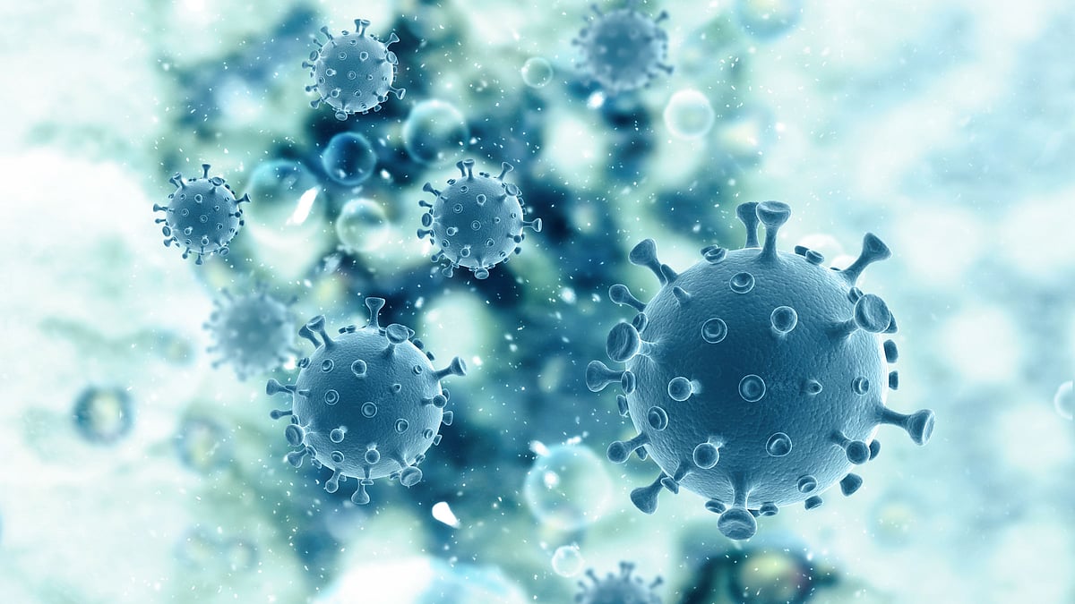 The new method also enables suspected cases to be tested quickly.