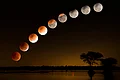more-news-img