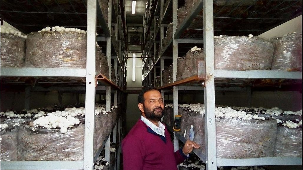 Yussouf Khan grows crops in his greenhouse farm through hydroponics, a precision technique which requires zero soil to grown plants.