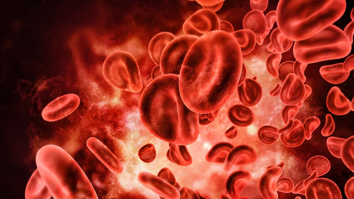 Mysterious virus linked to SARS identified.
