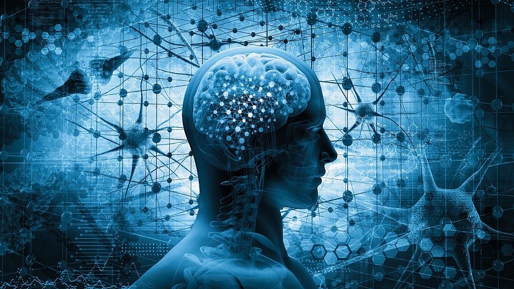 The ability to recognize and respond to potential rewards or punishments depends in part on a part of the brain called the ventral pallidum.