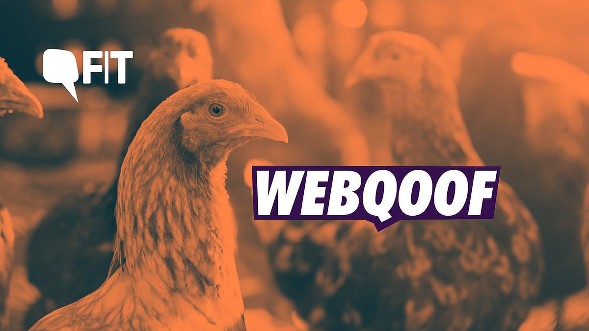 Does chicken cause coronavirus? 