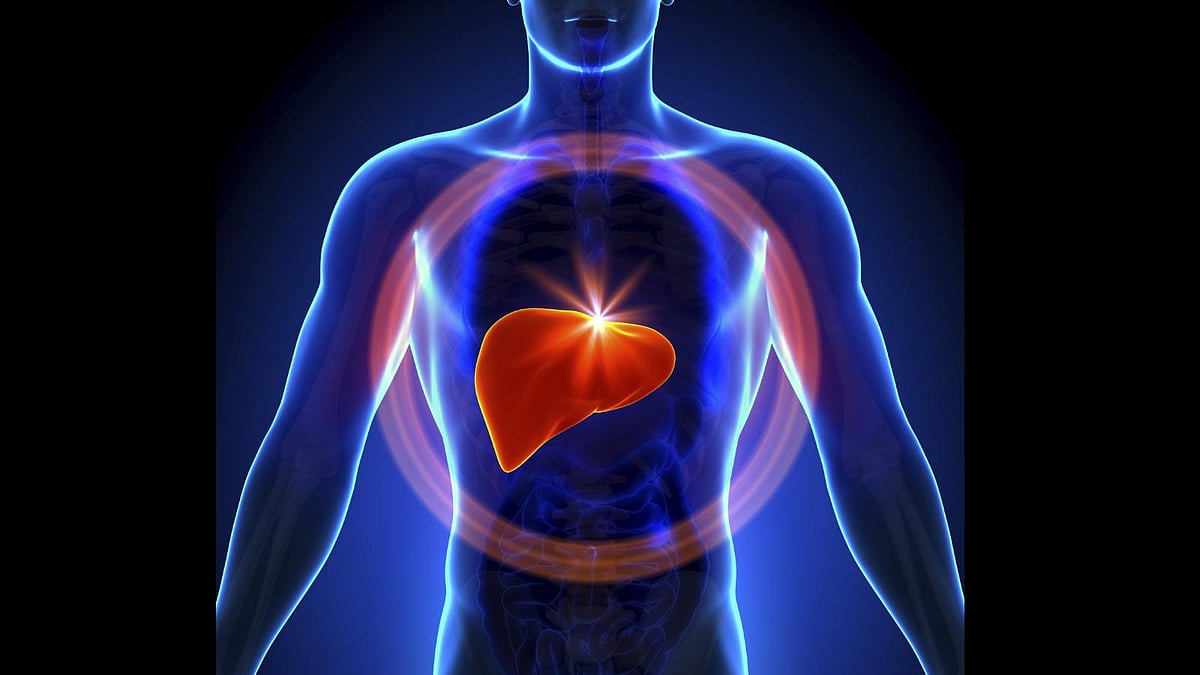 <div class="paragraphs"><p>Fatty liver disease is a condition characterised by a build-up of fat in the liver. Image used for representative purposes. </p></div>