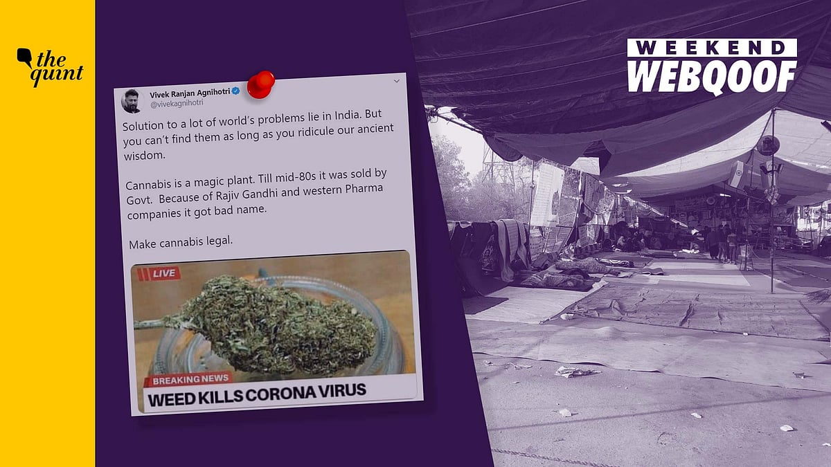 Here’s a weekly round-up of all the fake news stories that you fell for.