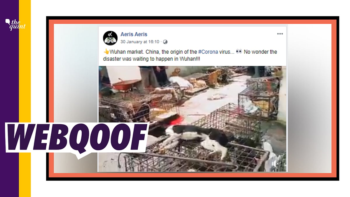 A fake video is being circulated with the claim that the video is of Wuhan market, where Coronavirus originated. 