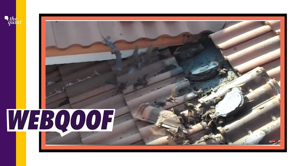 A video of bats under roof tiling has been shared as being from China’s Hubei, with the claim that the source of the Coronavirus outbreak in China has been found.