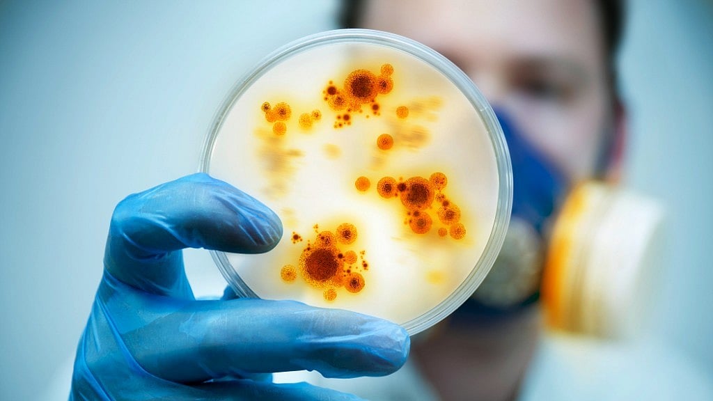 A superbug called Bengal Bay Clone is spreading through hospitals in Asia, Australia, Europe.