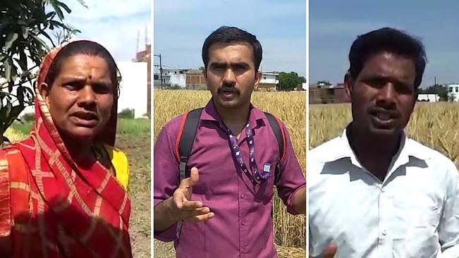 Farmers fear that if they can’t harvest their crops during the 21-day national lockdown, they will be destroyed in the fields. They appeal to the government for help.