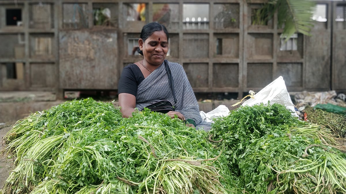  Vegetable prices have reduced. Image used for representation.
