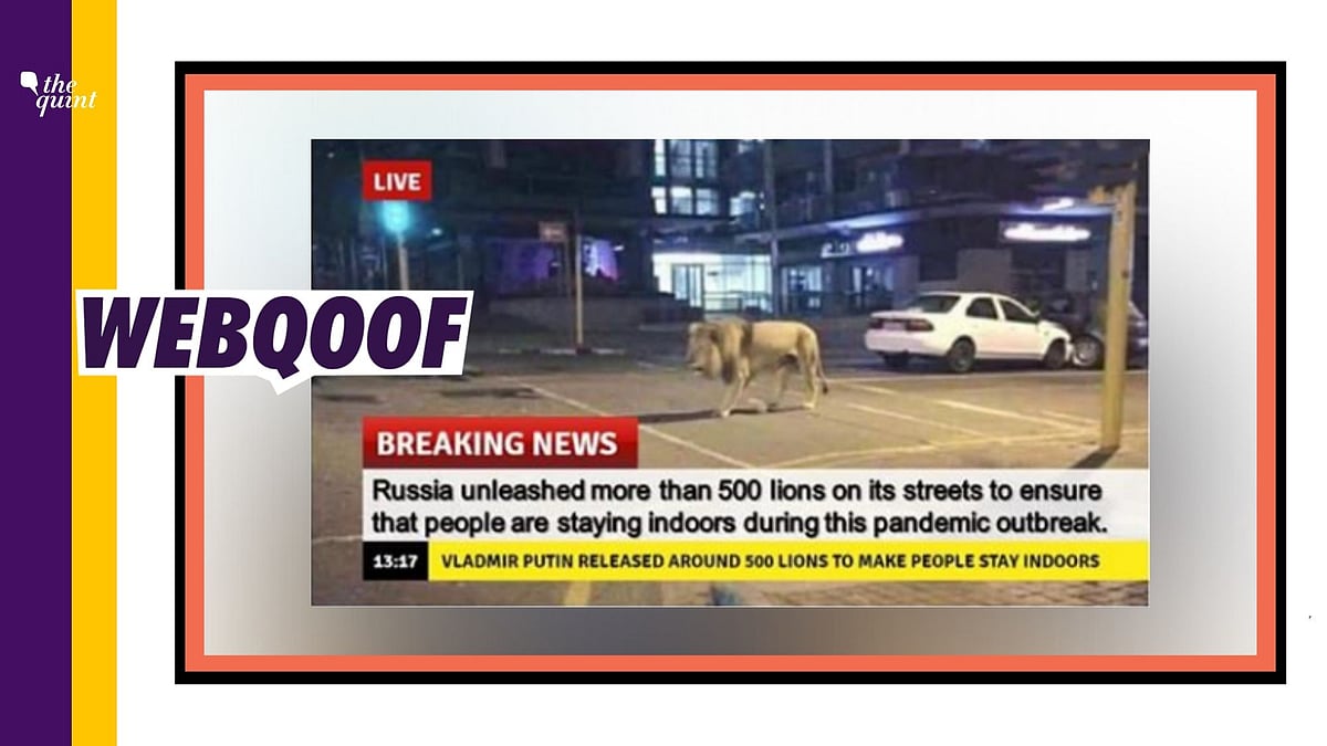 more-news-img