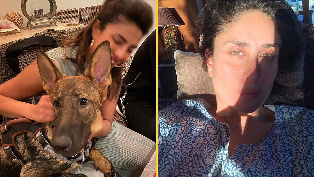 Priyanka Chopra, Kareena Kapoor and other celebs are housebound in the wake of the coronavirus outbreak.