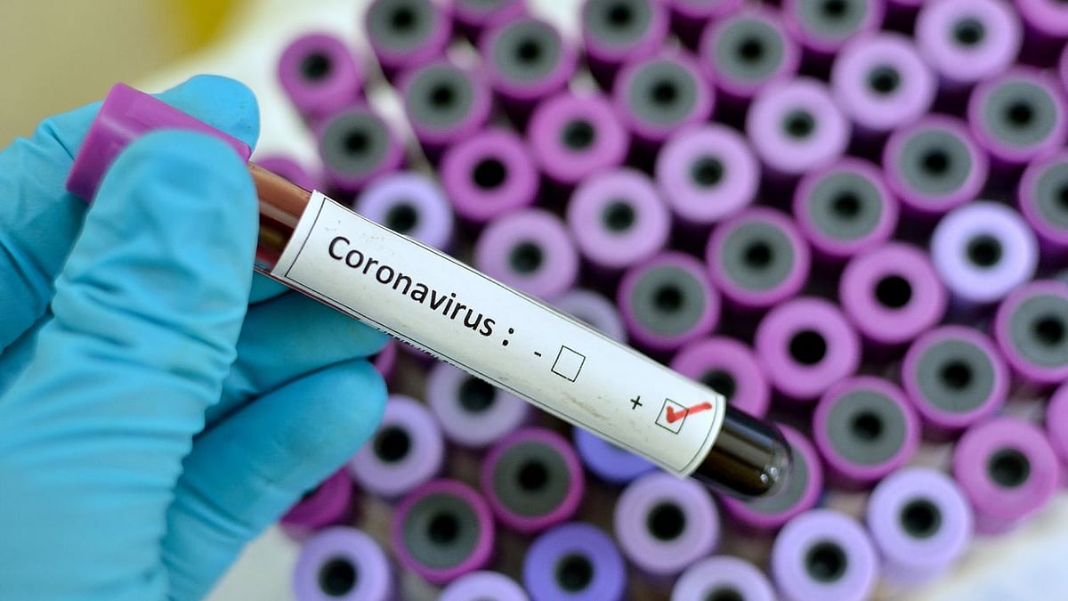 The government has tightened the export ban norms on anti-malarial drug hydroxychloroquine.