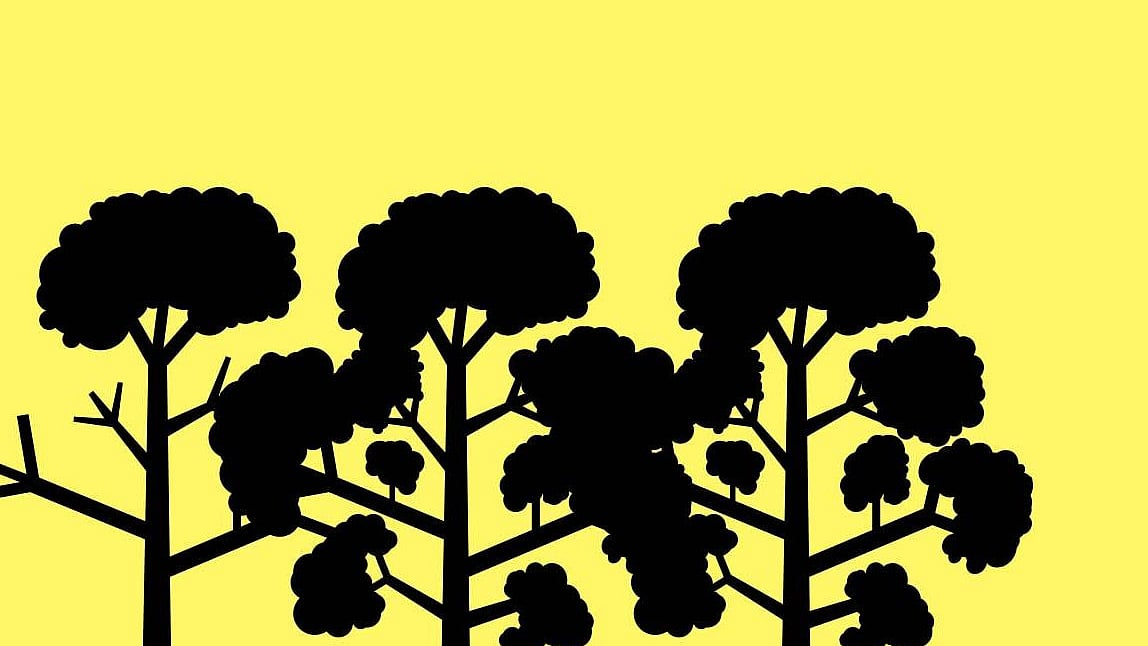 These seven youths, all of them migrant workers, have been living on the tree ever since they returned from Chennai at a time when COVID-19 infections in the country are on the rise.