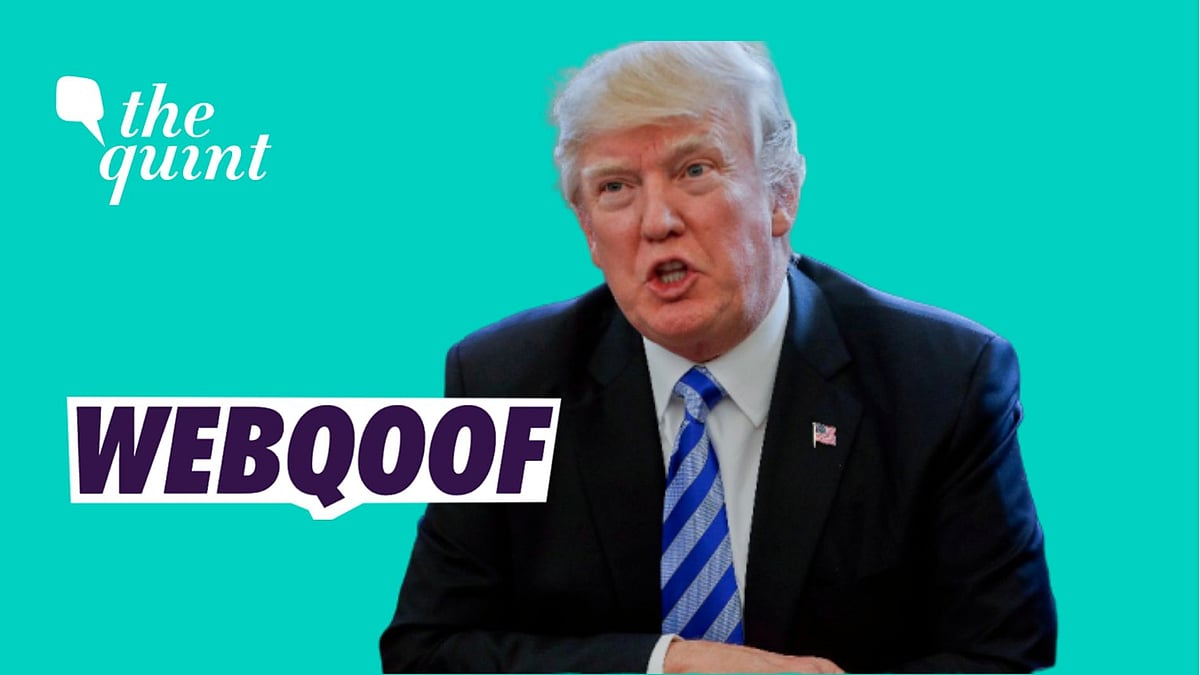 President Trump at a White House press briefing on Thursday, 23 April, claimed that injecting people with disinfectants and exposure to sunlight will possibly kill coronavirus.