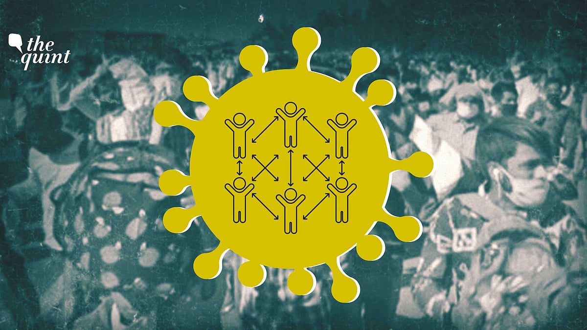 Mathematical modelling and projections have been at the forefront globally in the battle against the novel coronavirus.