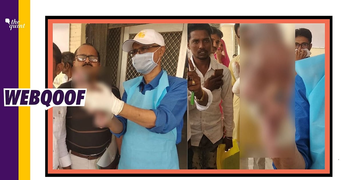 Image accompanying Cow delivered human baby