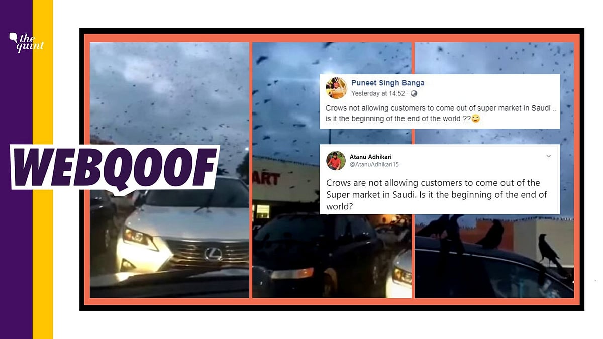 A video of black birds swarming a Walmart store is being shared on social media with a claim that it is a recent incident from Saudi Arabia.