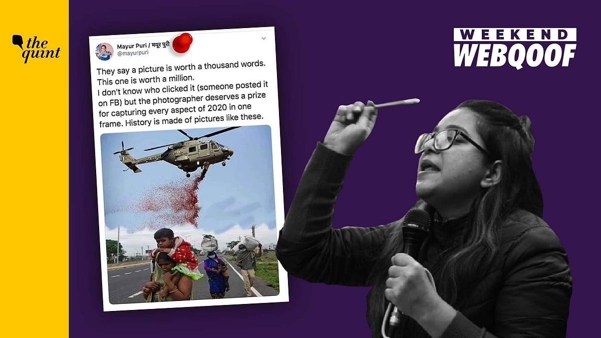 A quick round-up of fake forwards that misled the public this week.