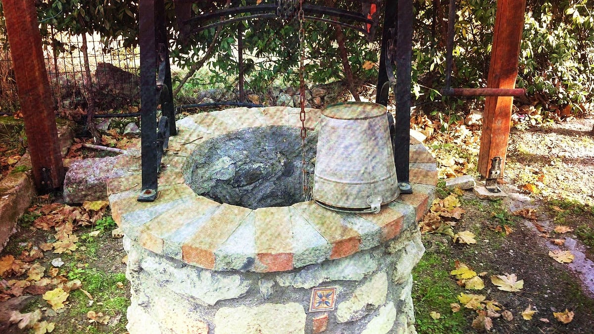 Image used for representation.