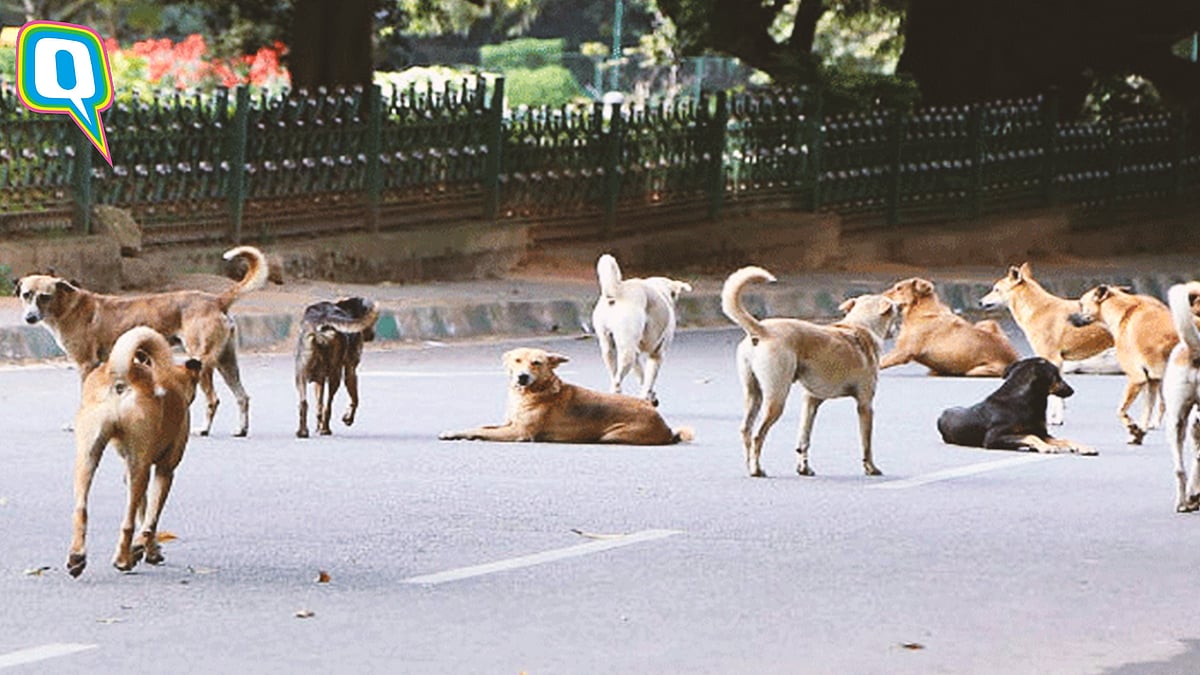(Representational image)