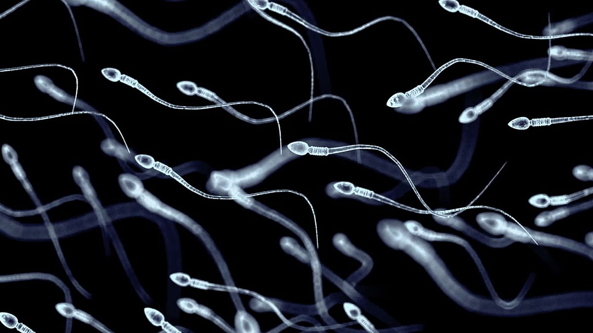 Does this have any implications for the sexual transmission of the disease?