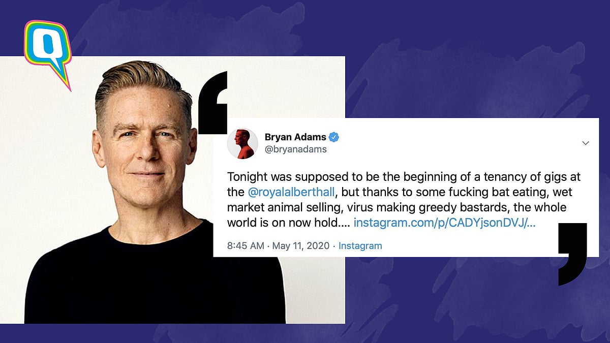 Bryan Adams gets flak for racist comment on Twitter 
