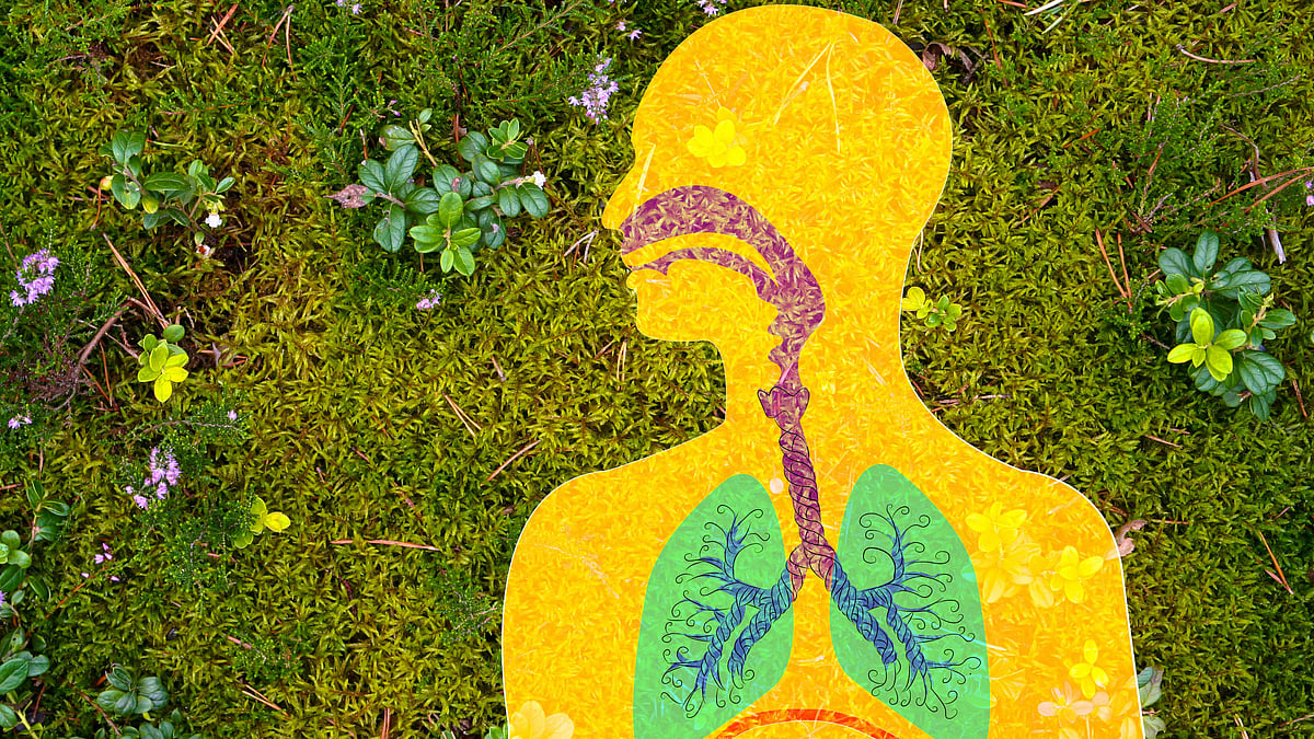 "Naturopaths make use of a combination of non-invasive treatments to administer relief to asthmatic patients."