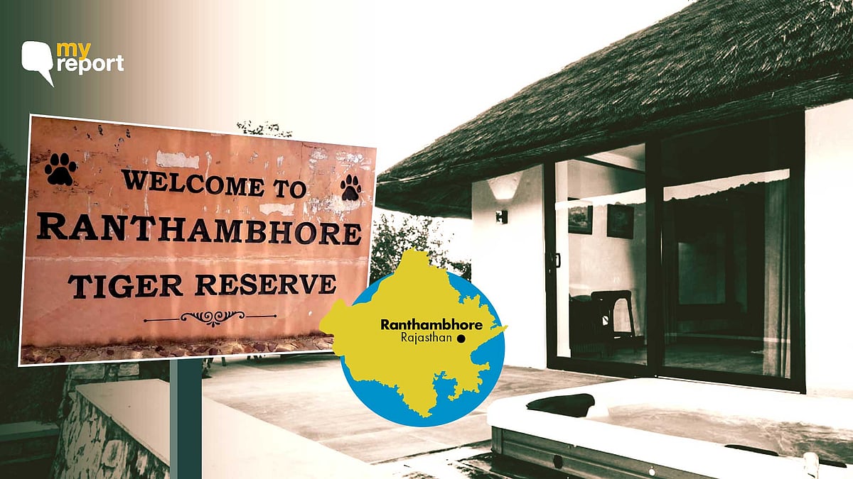 The national park, famous for its tiger safaris, was reopened for business briefly.