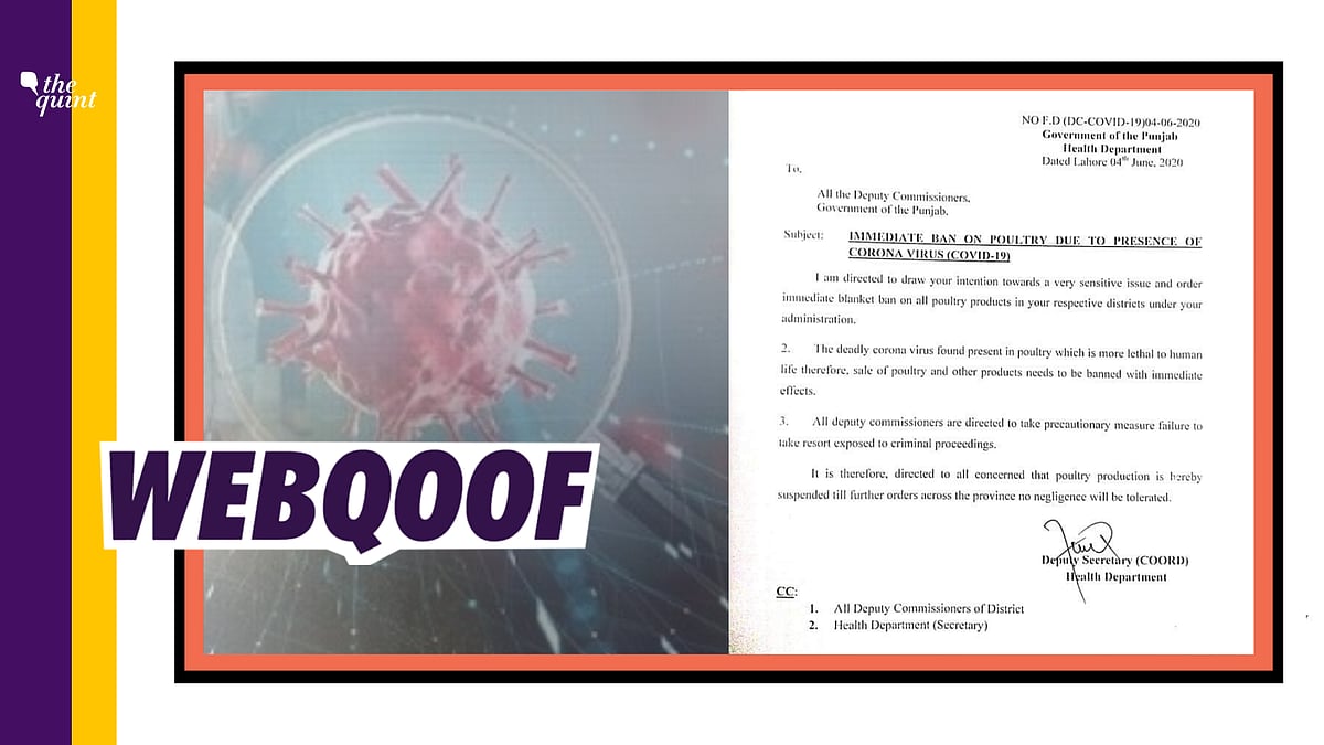 The notification claiming to be from the Health Dept of Punjab, Pakistan, orders an immediate ban on poultry.
