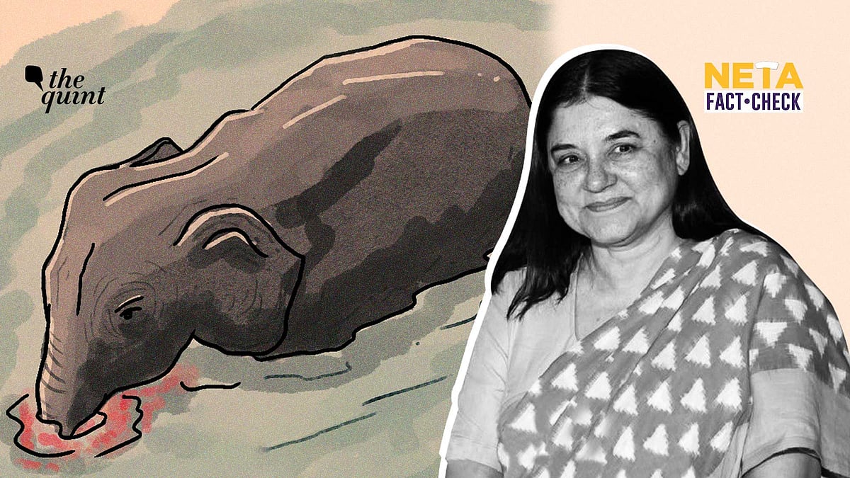Where is the data Maneka Gandhi is using to make these claims?