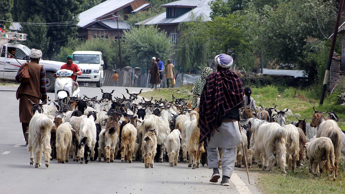 The Bakarwals annual migration which takes place in April was pushed to June this year.