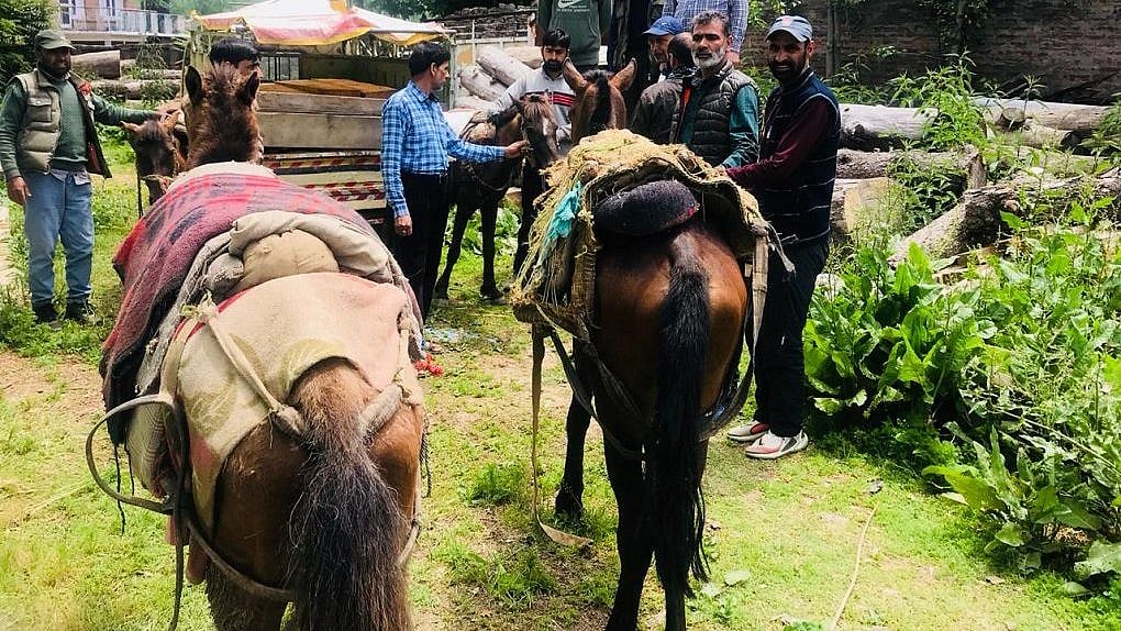 Illicit timber along with vehicles and forces seized by the Forest department of Central Circle at Doodhganga range, Pir Panjal Division Budgam.