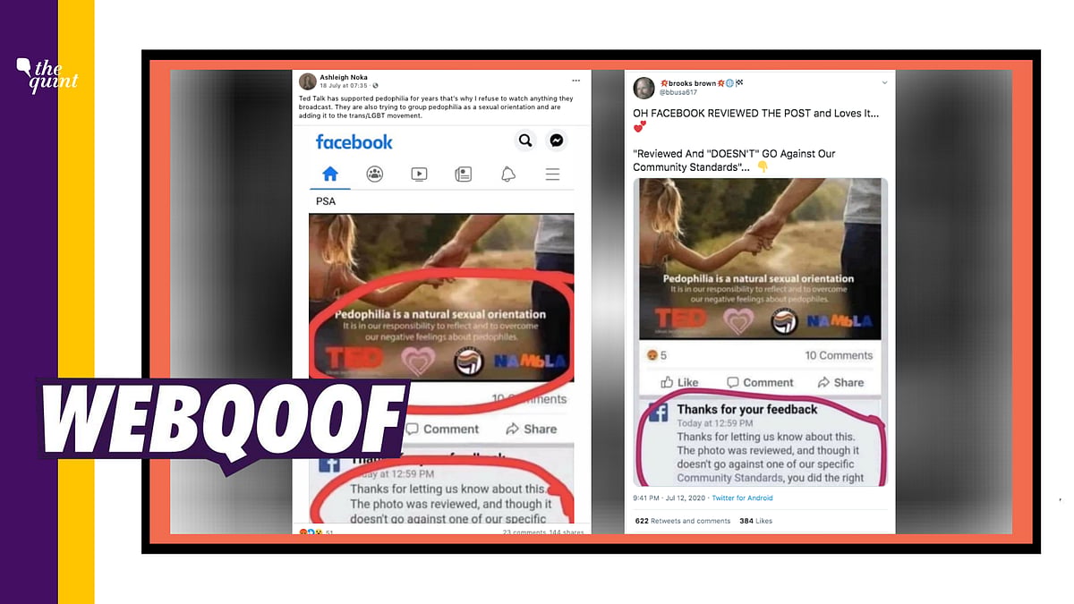 With the statement “Pedophilia is a natural sexual orientation”, the photo is being shared as an ad for a TED talk.