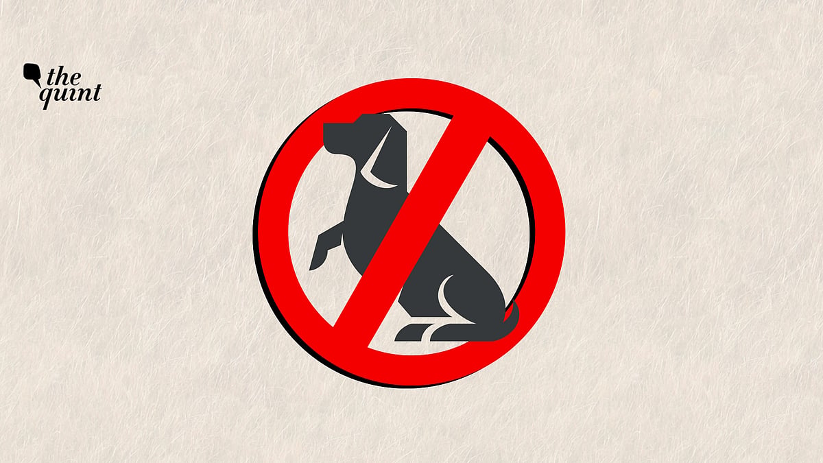 Image used for representational purposes.