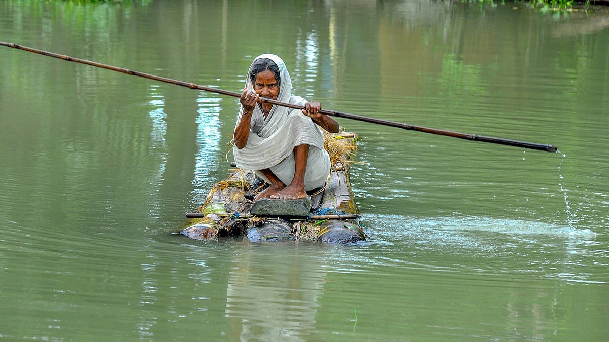 <div class="paragraphs"><p>A visual from Assam on Friday, 1 July 2022.</p></div>