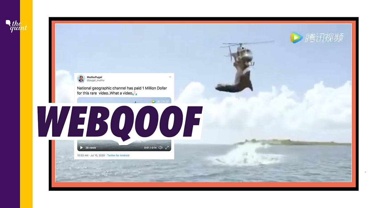 The video is being shared on Twitter with the claim that National Geographic Channel paid 1 million dollars for it.