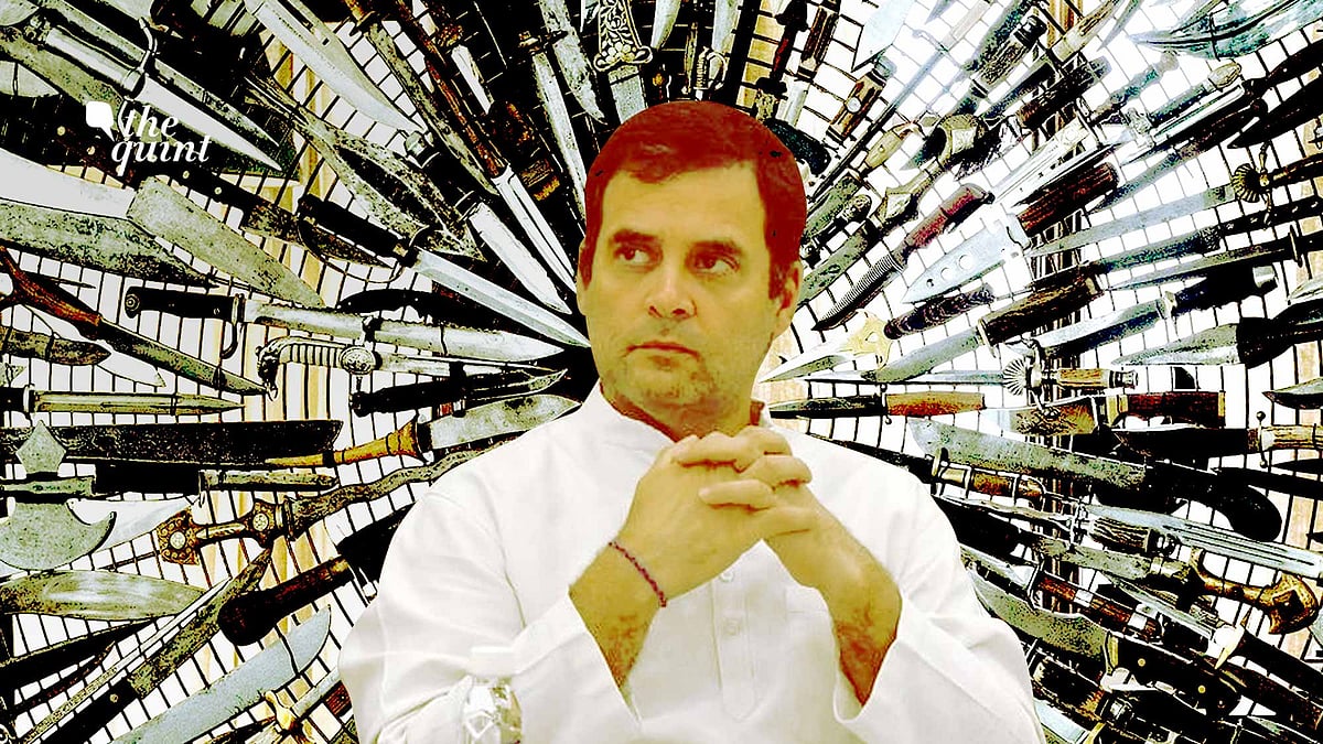 PM Narendra Modi has new supporters in Congress who want Rahul Gandhi to stop attacking him. 