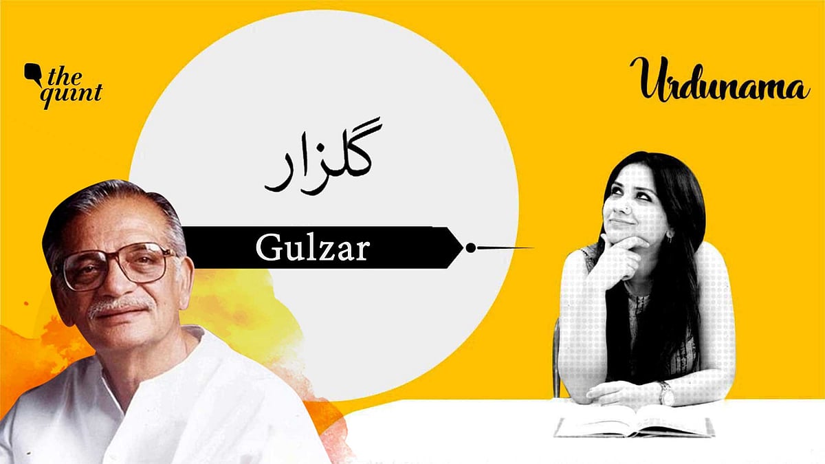 The man of golden words, an artiste, a friend, a father - the legend, Gulzar.