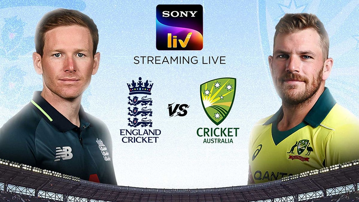 Live sports have made a comeback
