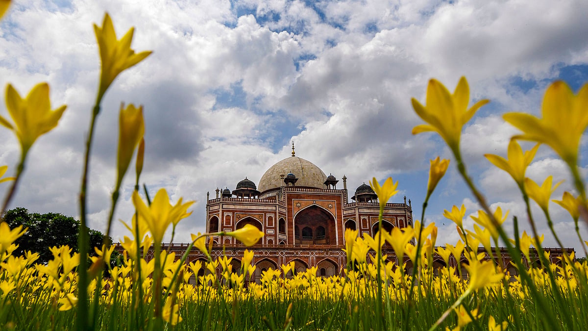 <div class="paragraphs"><p>A private foundation with no track record in architectural conservation is set to 'adopt' Delhi's cherished monuments, including Humayun's Tomb.  </p></div>
