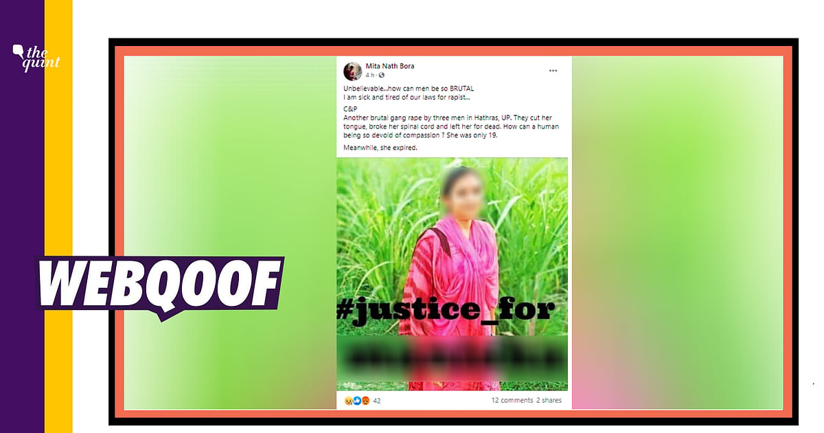 Image accompanying The image shows the victim of the Hathras gang-rape case.