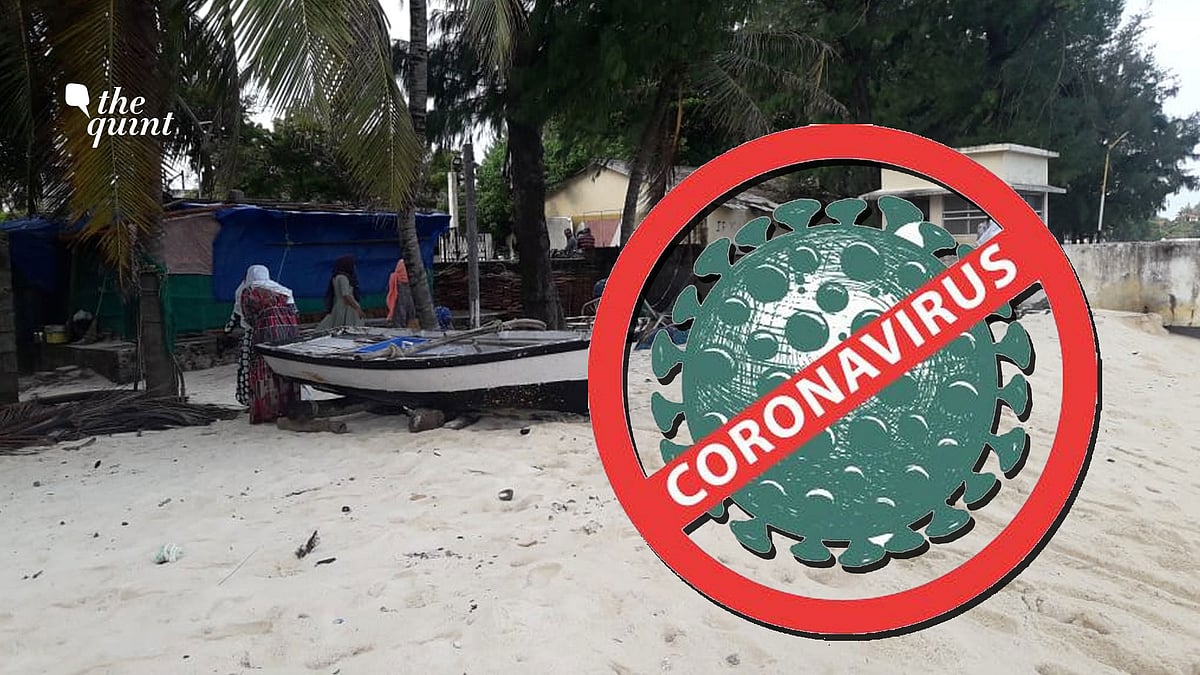 Why has Lakshadweep remained COVID-19 free? The answer lies in an elaborate mechanism of screening, testing and quarantine.