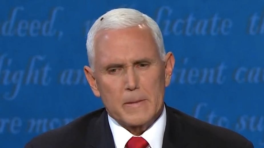 Mike Pence, Vice President