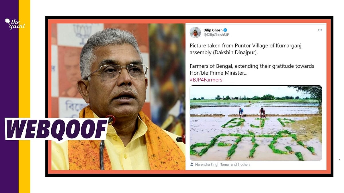 Dilip Ghosh shared an image purportedly from a field in West Bengal to claim that it shows farmers in the state “extending their gratitude towards Prime Minister Modi”.