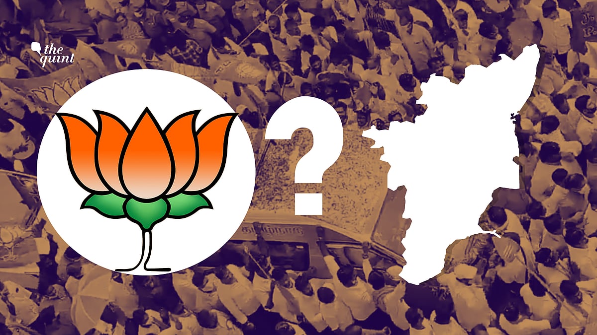<div class="paragraphs"><p>BJP might have succeeded in consolidating votes in the rest of the country, but in Tamil Nadu, the party is yet to make a mark. </p></div>