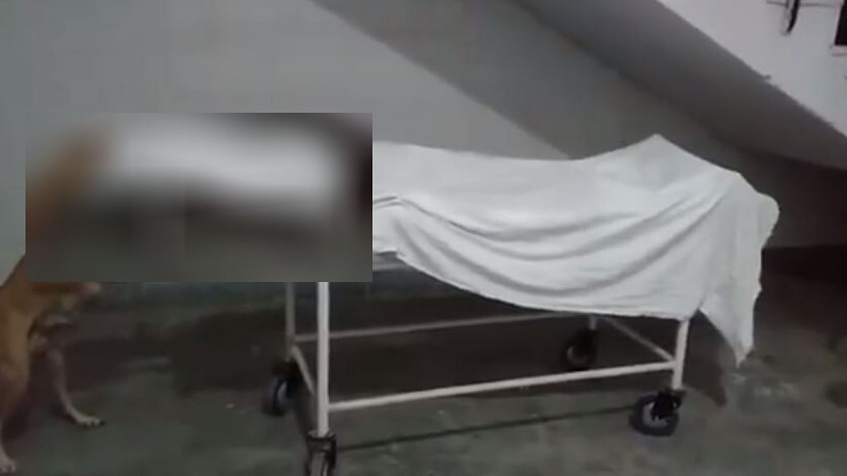 Dog nibbling on a dead body of girl in UP hospital