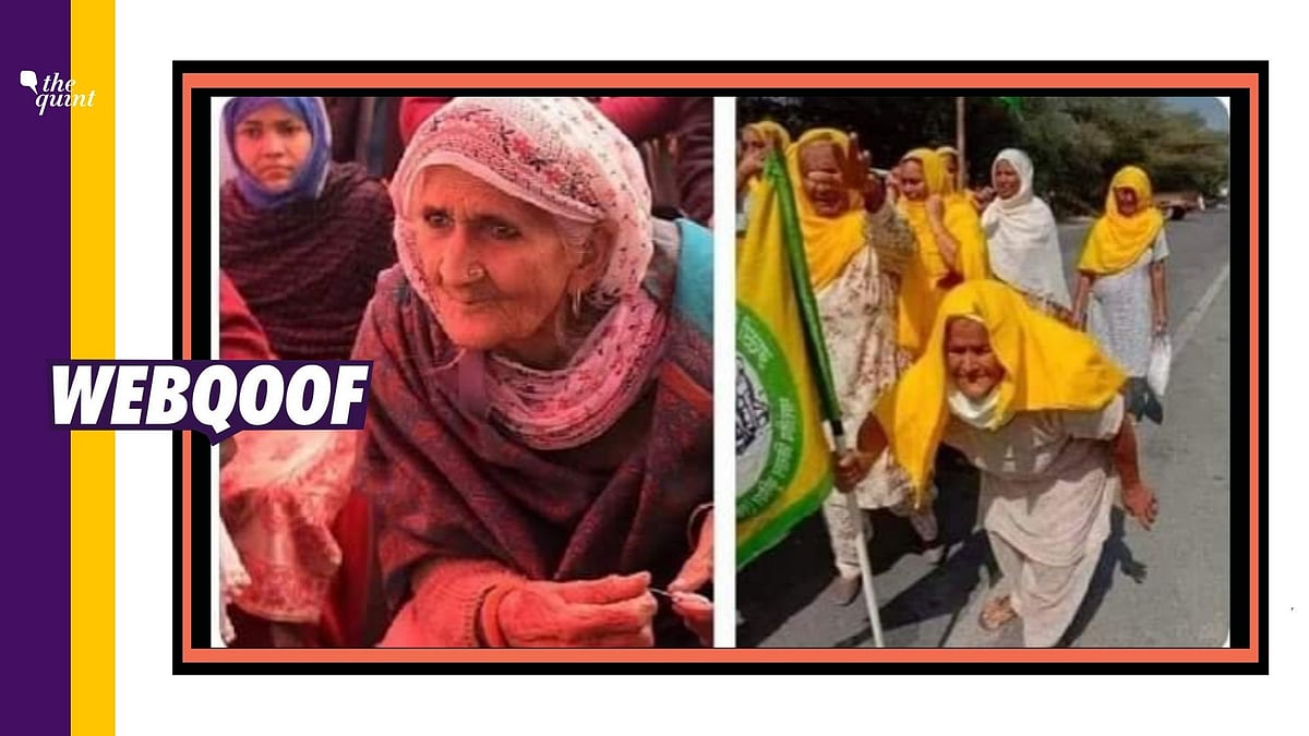 Bollywood actress Kangana Ranaut also shared the image taking a dig at the farmers and Shaheen Bagh protesters.&nbsp;