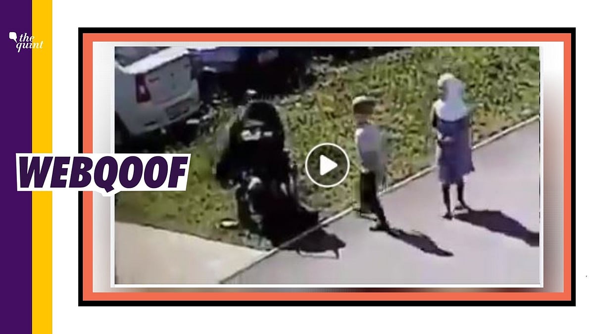 This video is from a park in the Republic of Tatarstan — a federal subject of the Russian Federation.