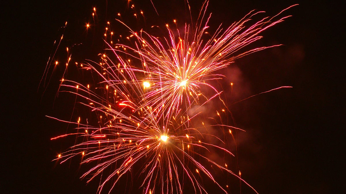 The pollution from the firecrackers would lead to further spread of the Covid-19 threat.